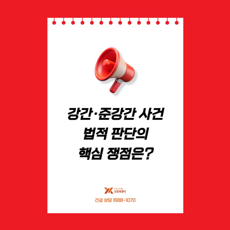 법적 판단 쟁점 도식